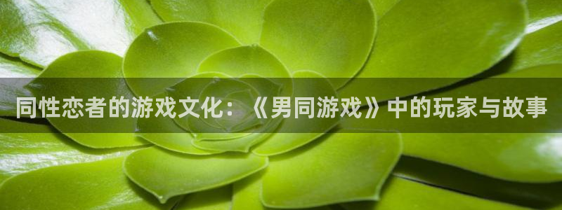同性恋者的游戏文化：《男同游戏》中的玩家与故事