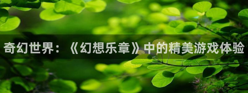 奇幻世界：《幻想乐章》中的精美游戏体验