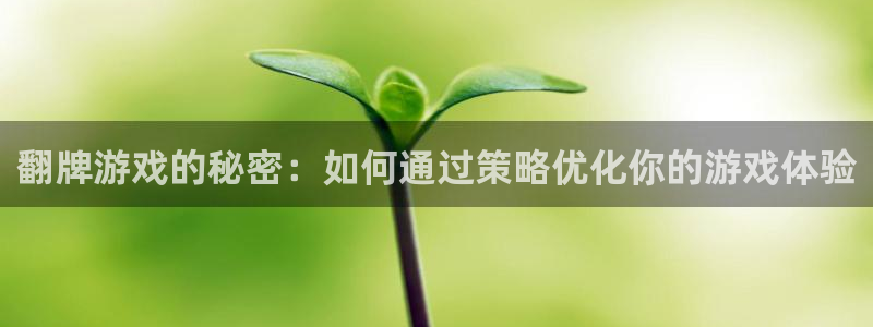 翻牌游戏的秘密：如何通过策略优化你的游戏体验