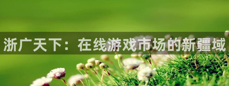 完美电竞平台名字最多几个字：浙广天下：在线游戏市场的新疆域