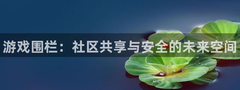  完美电竞 招聘：游戏围栏：社区共享与安全的未来空间